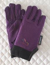 Load image into Gallery viewer, Winter Riding Gloves with Grip Palm
